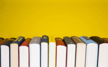 Brain Injury books