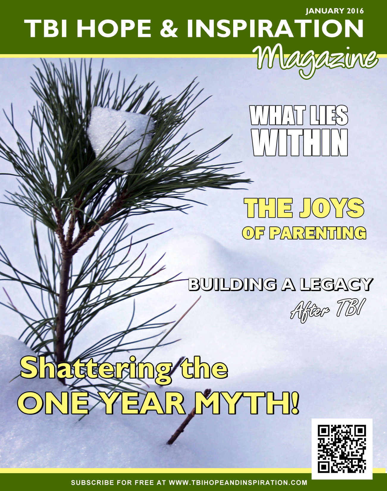 Brain Injury Magazine January 2016