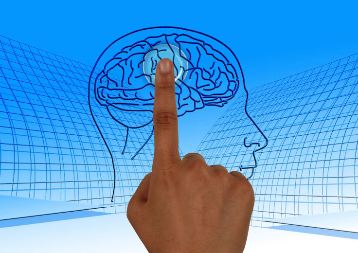 brain injury resources